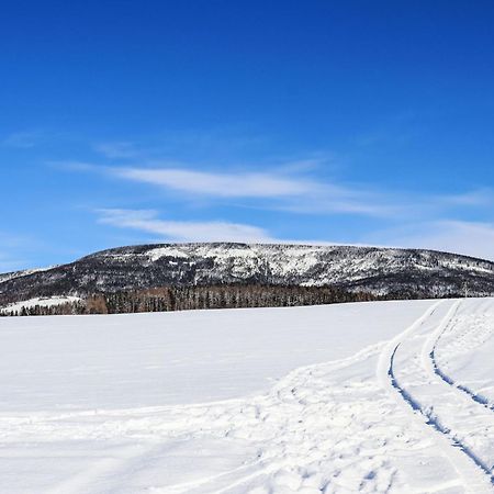 Holiday Home Holiday Hill 58 By Interhome Cista  エクステリア 写真